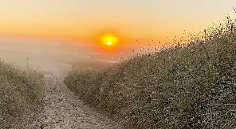 Sommerhus ved Vrist Strand