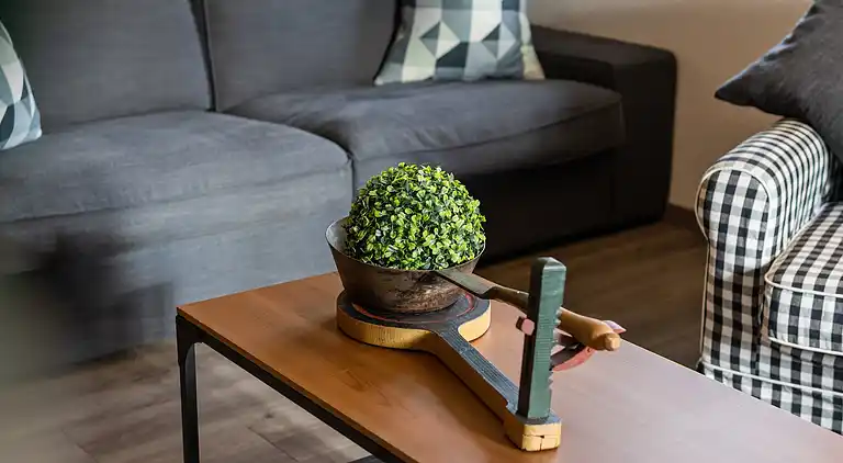 Apartment in Mittersill