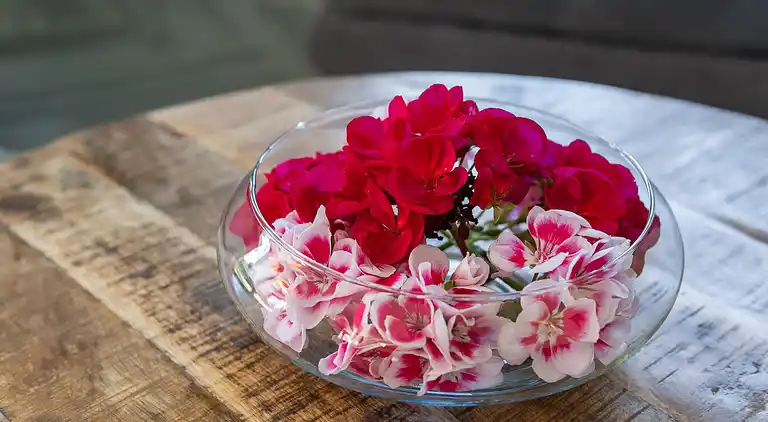 Ferielejlighed i Maria Alm