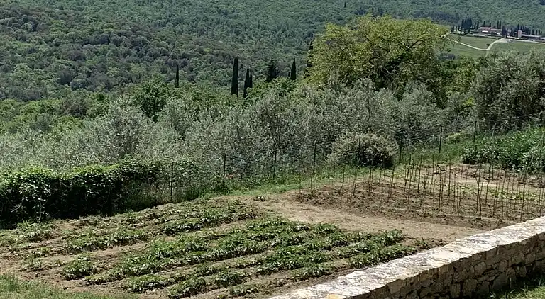 Holiday home in Pergine Valdarno