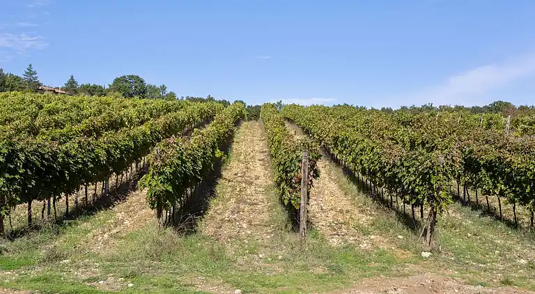 Casa rural en Ville di Corsano