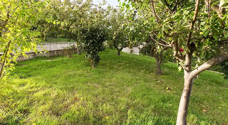 Apartment in Tappino