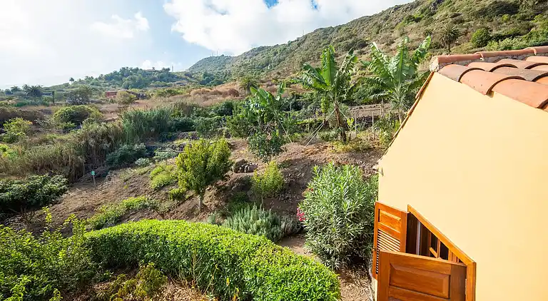 Sommerhus i Icod de los Vinos