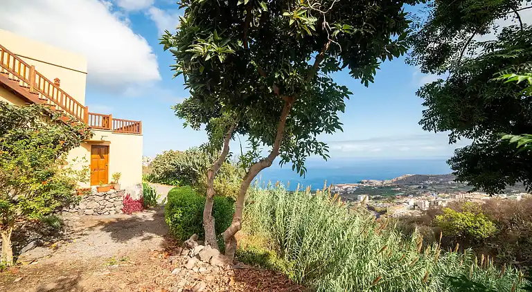 Sommerhus i Icod de los Vinos