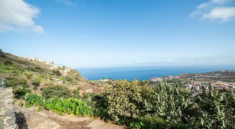 Sommerhus i Icod de los Vinos