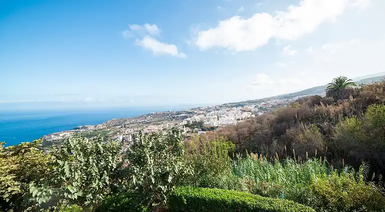 Sommerhus i Icod de los Vinos