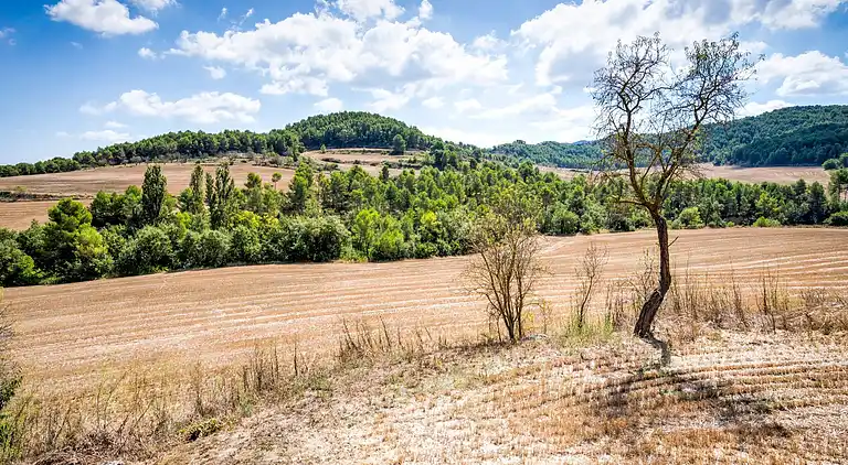 Herregård i Sant Martí de Tous