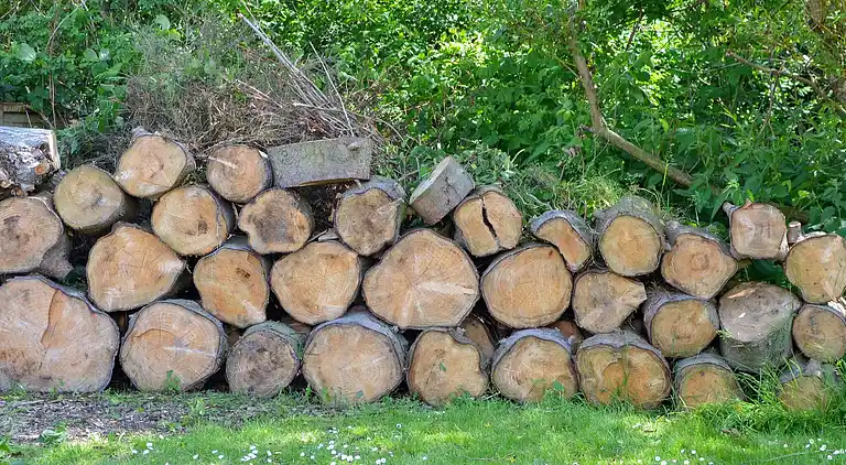 Holiday home in Idestrup