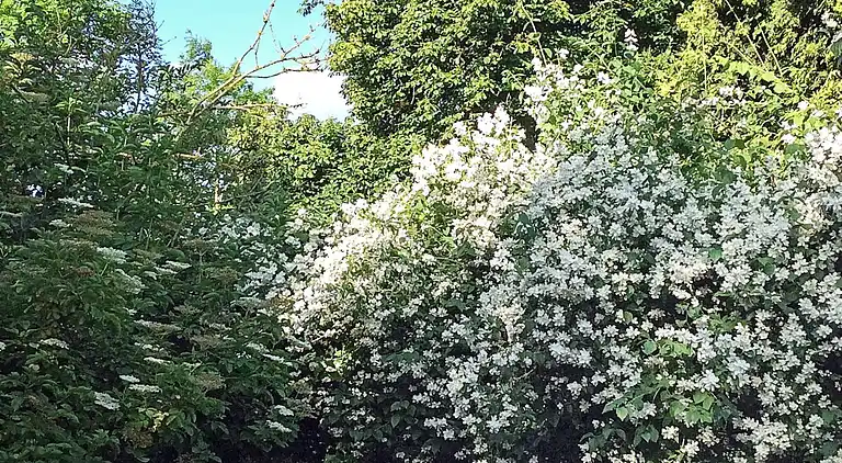 Sommerhus i Sønderborg