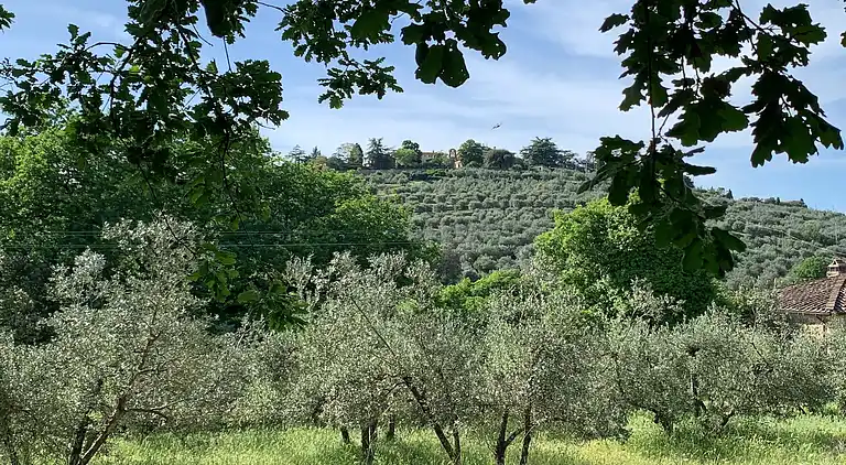 Holiday home in Pergine Valdarno