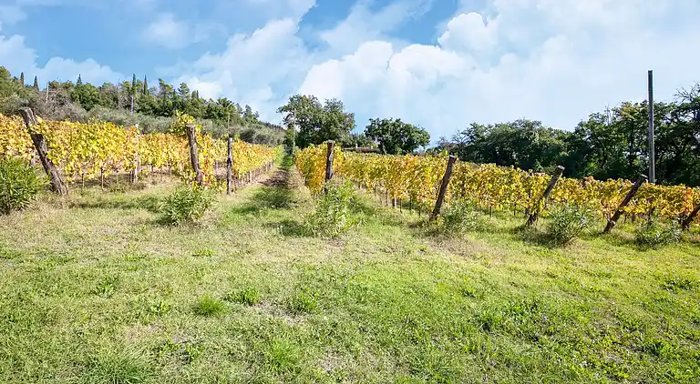 Villa in Castiglion Fiorentino