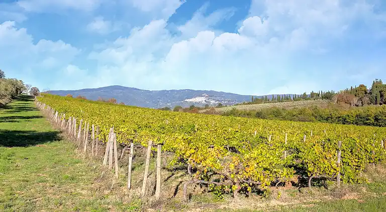 Villa in Castiglion Fiorentino