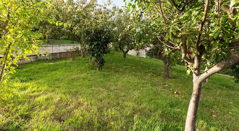 Holiday home in Tappino