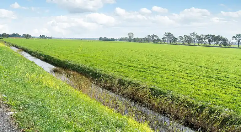 Holiday home in Koudum