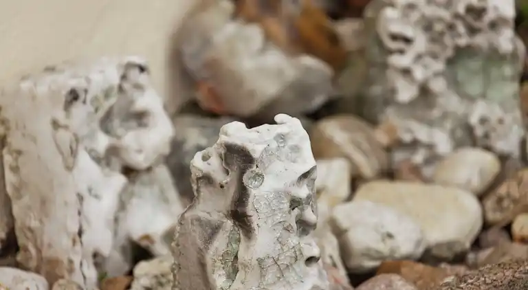 Sommerhus i Schönbrunn