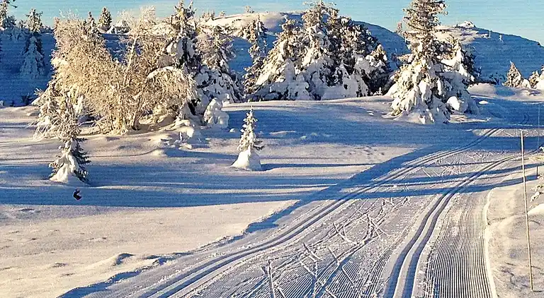 Vakantiehuis in Skei