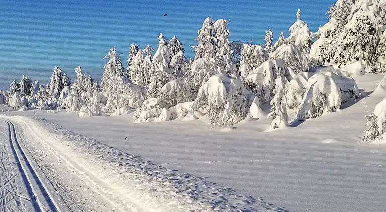 Vakantiehuis in Skei