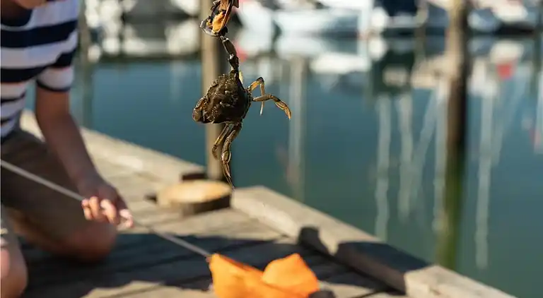 Sommerhus i Juelsminde