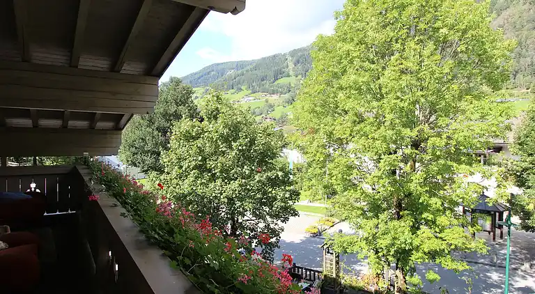 Apartment in Bramberg am Wildkogel