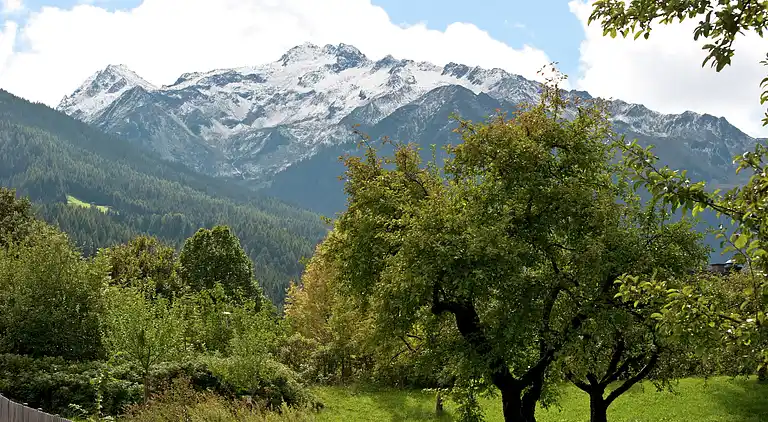 Apartment in Bramberg am Wildkogel