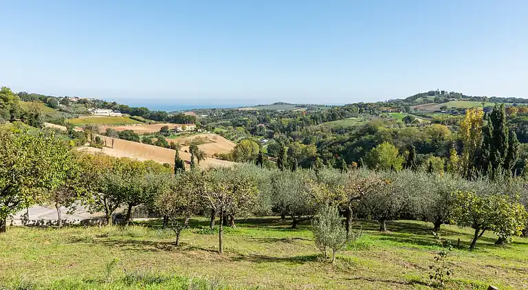 Sommerhus i Novilara