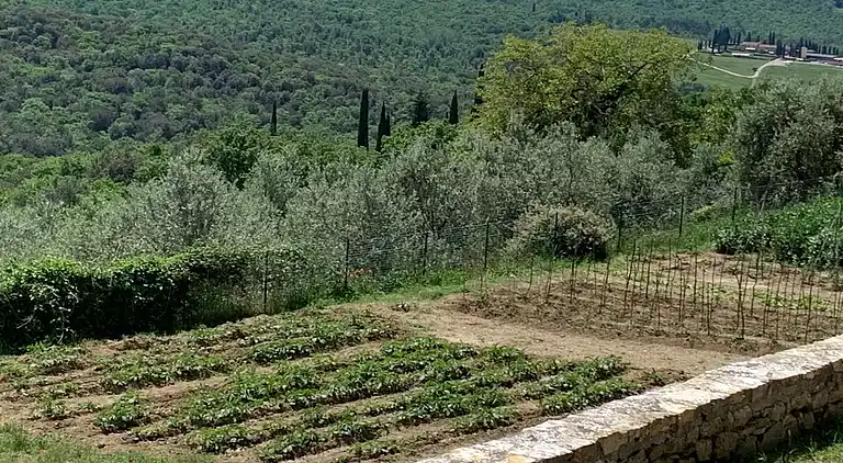 Holiday home in Pergine Valdarno