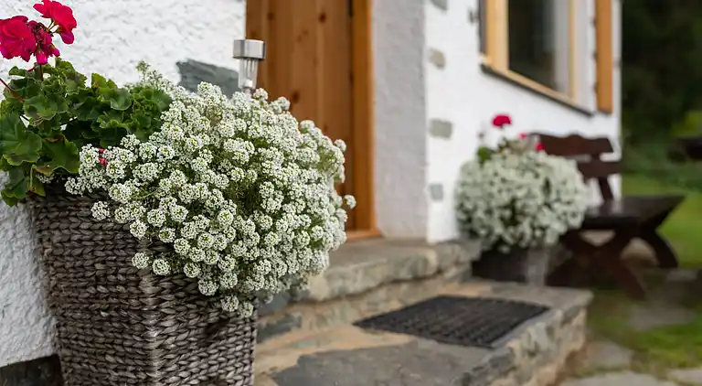 Sommerhus i Eberstein