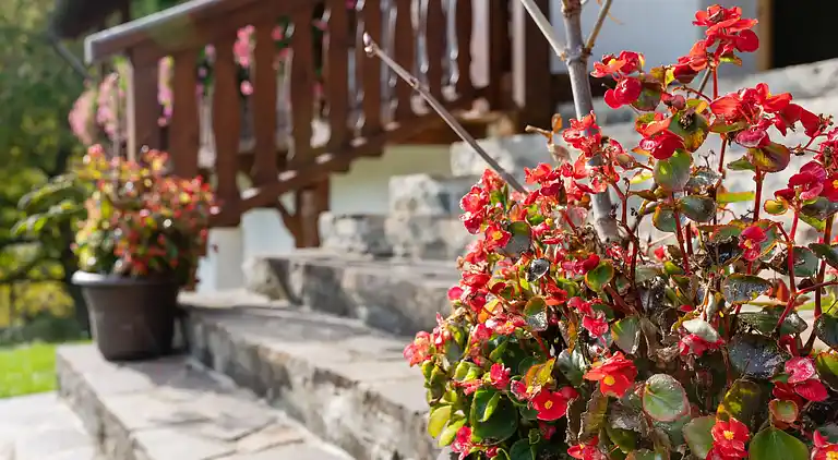 Semesterbostad i Eberstein