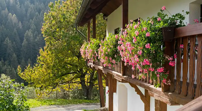 Semesterbostad i Eberstein