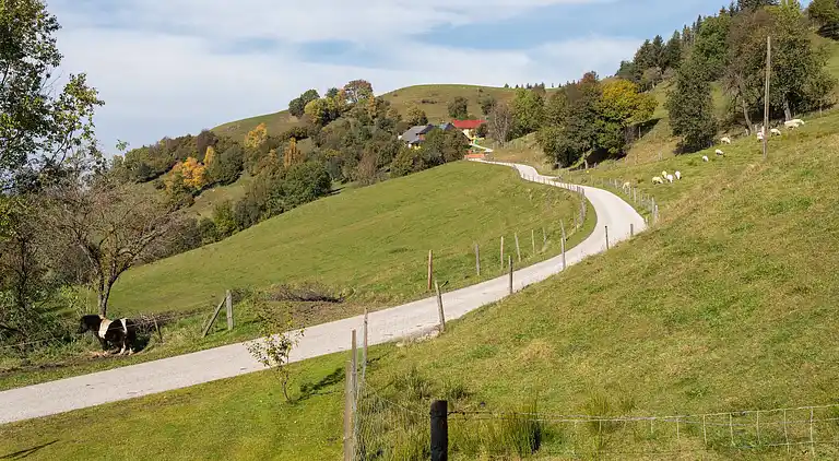 Sommerhus i Eberstein