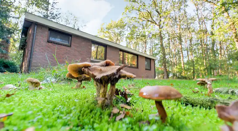 Holiday home in Zorgvlied