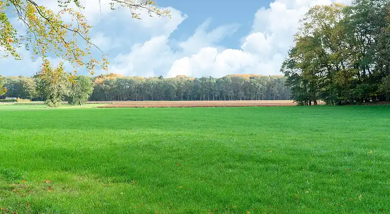 Holiday home in Dwingeloo