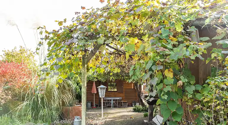 Vakantiehuis in Niederaula