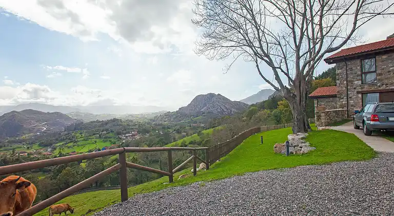 Manor house in Collía