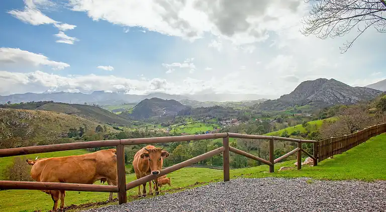 Manor house in Collía
