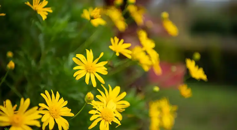 Holiday home in Tursac