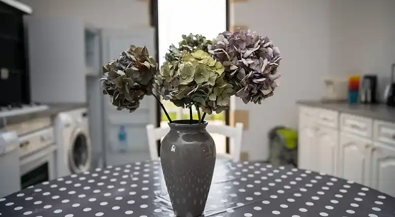 Holiday home in Tursac