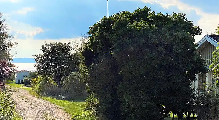 Sommerhus i Båstad V