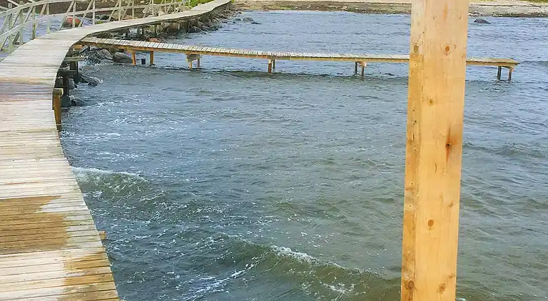 Sommerhus i Båstad V