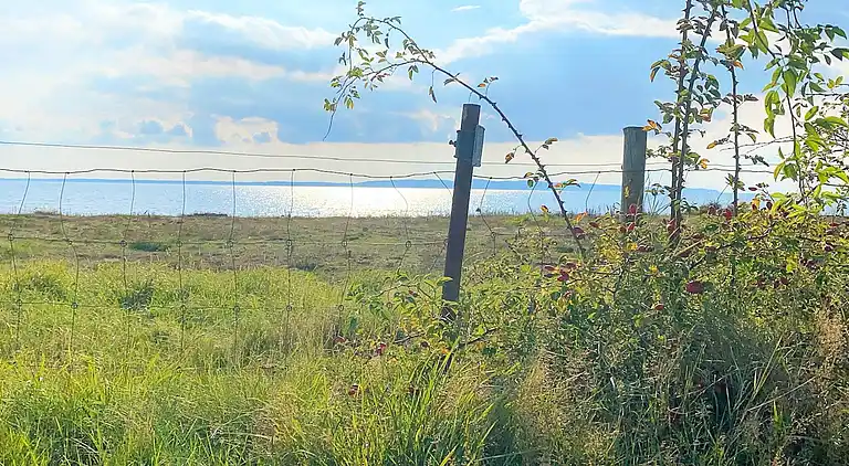 Sommerhus i Båstad V