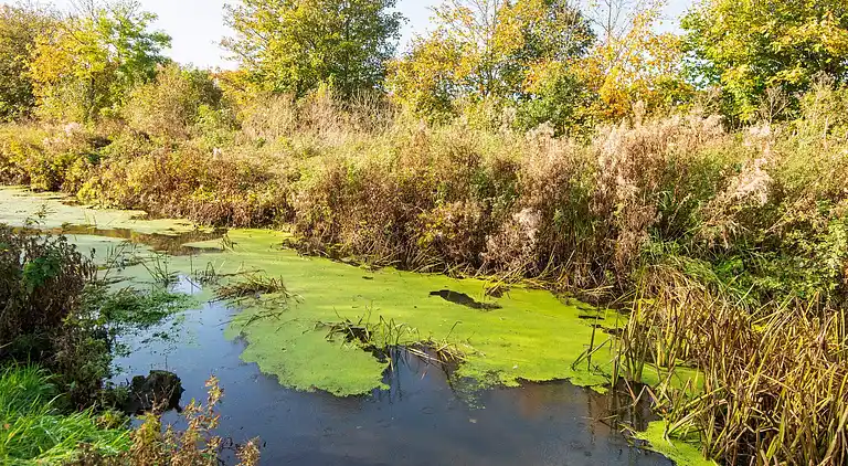 Vakantiehuis in Bjert