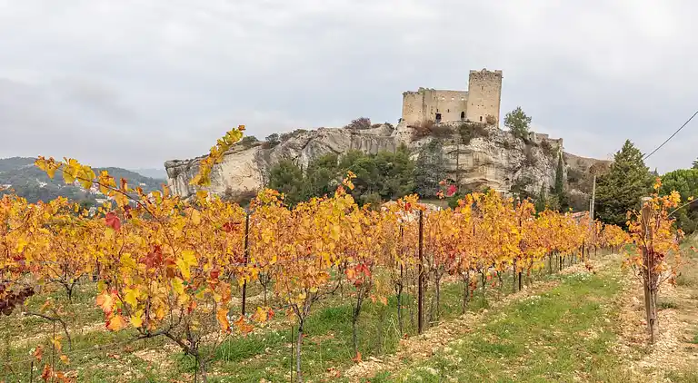 Sommerhus i Provence