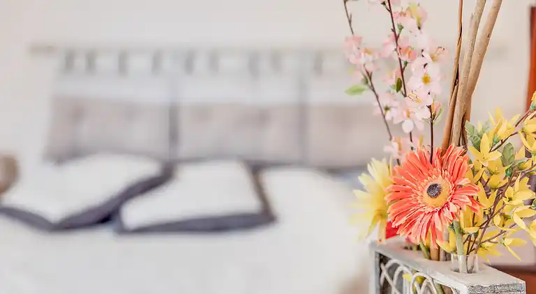 Sommerhus i Provence