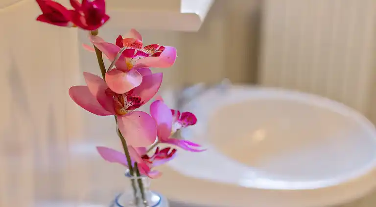 Villa in Torri del Benaco