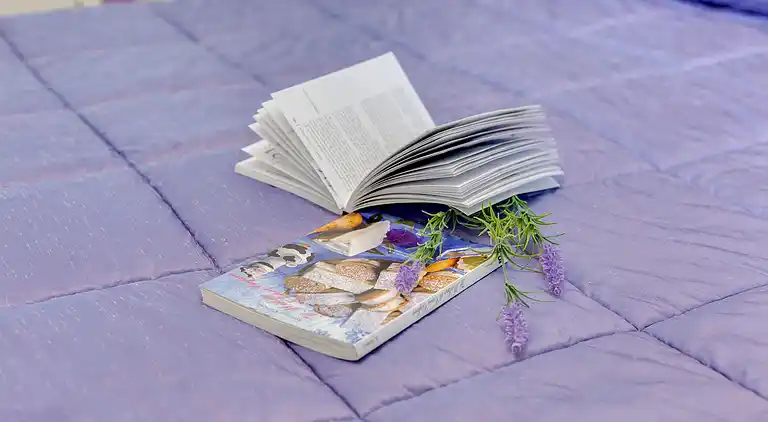 Apartment in Tappino