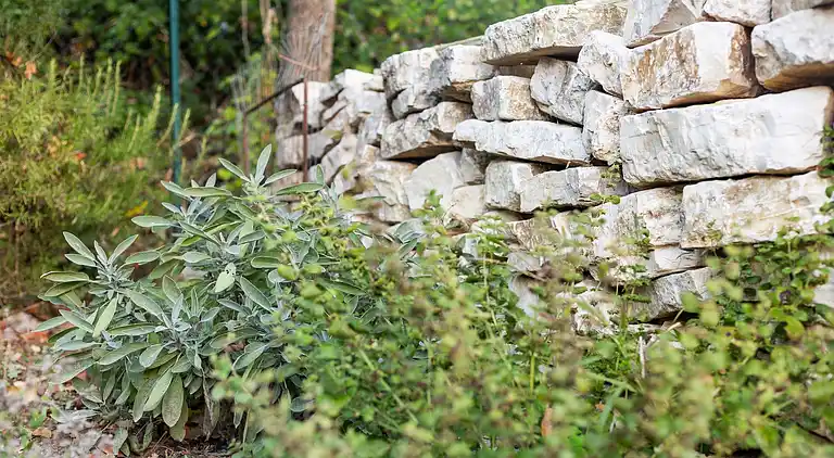 Apartment in Tappino