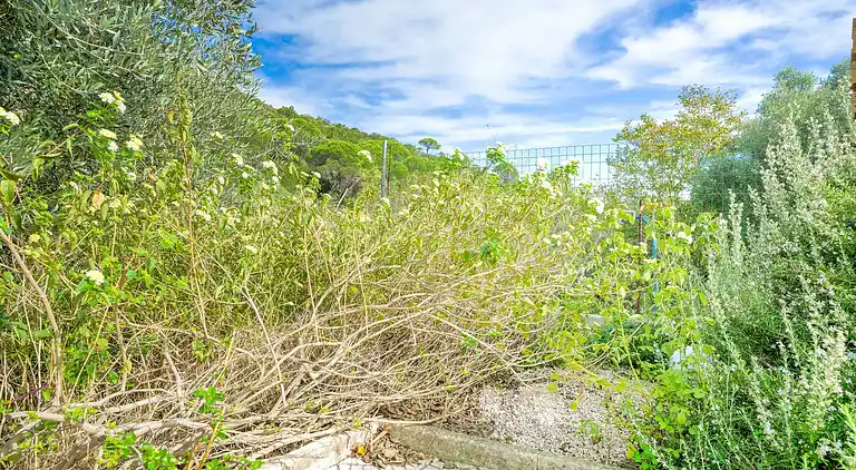 Holiday home in Setúbal Municipality