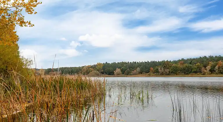 Bungalow in Nakenstorf
