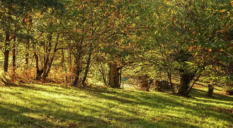 Casa de vacaciones en Loubejac