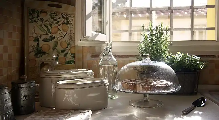 Tuscan country house with private garden 